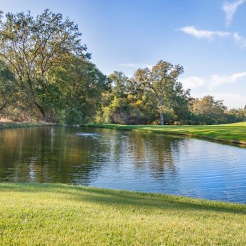 Why Shore Acres Is Still the Neighborhood Everyone Is Watching Why Shore Acres Is Still the Neighborhood Everyone Is Watching