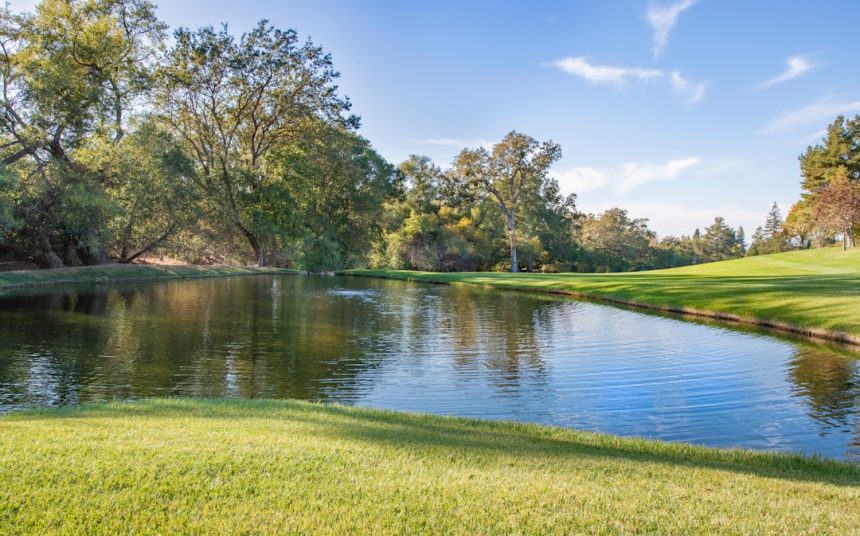 Why Shore Acres Is Still the Neighborhood Everyone Is Watching Why Shore Acres Is Still the Neighborhood Everyone Is Watching