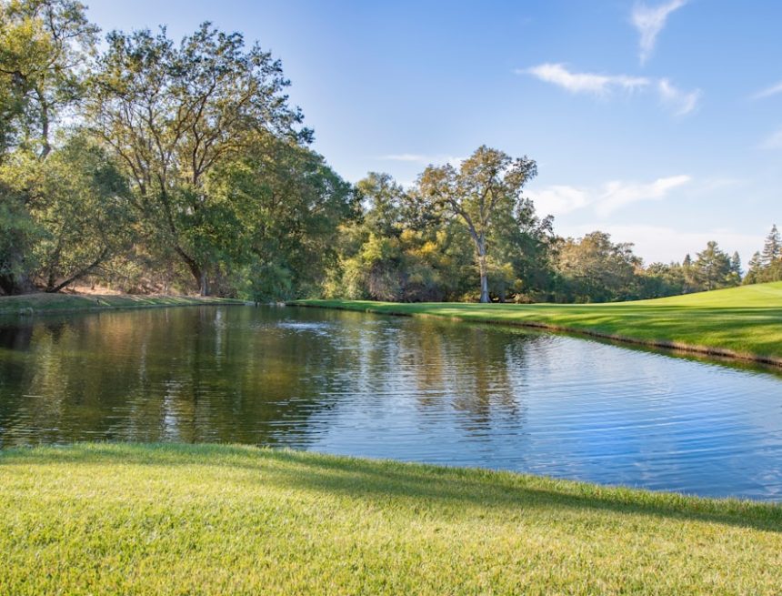 Why Shore Acres Is Still the Neighborhood Everyone Is Watching Why Shore Acres Is Still the Neighborhood Everyone Is Watching