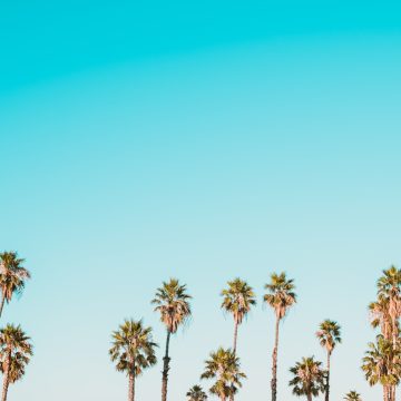 Why St Pete’s Neighborhood Associations Still Matter Why St Pete’s Neighborhood Associations Still Matter