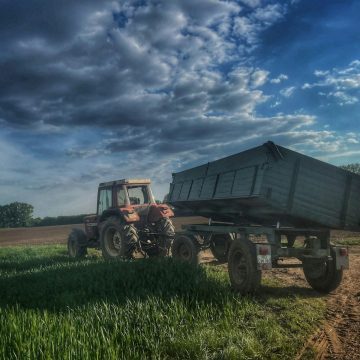 Trump admin unveils B in aid for farmers while probingsoaring beef prices Trump admin unveils B in aid for farmers while probingsoaring beef prices