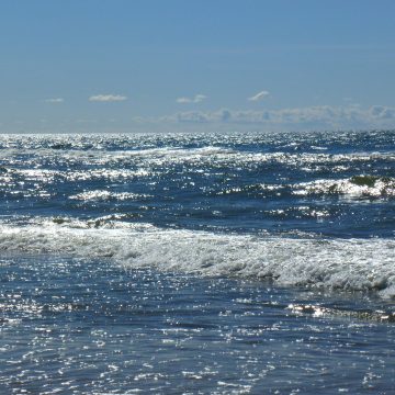 How Sea Level Rise Is Reshaping St Pete’s Long-Term Future How Sea Level Rise Is Reshaping St Pete’s Long-Term Future