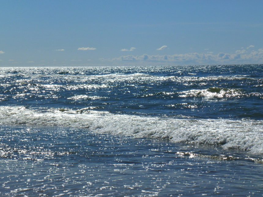 How Sea Level Rise Is Reshaping St Pete’s Long-Term Future