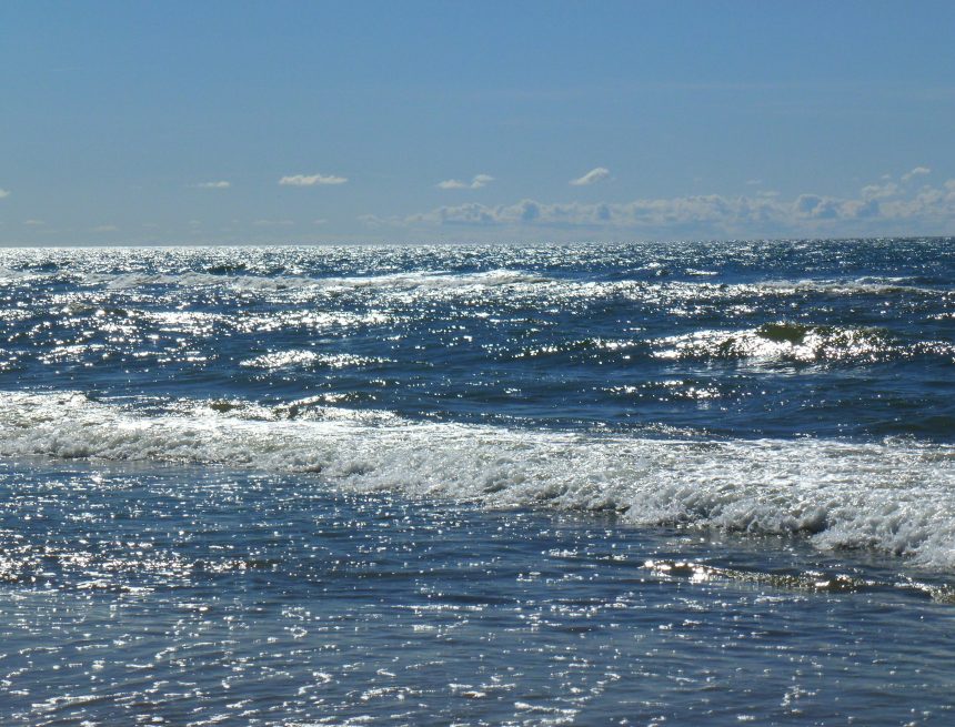 How Sea Level Rise Is Reshaping St Pete’s Long-Term Future