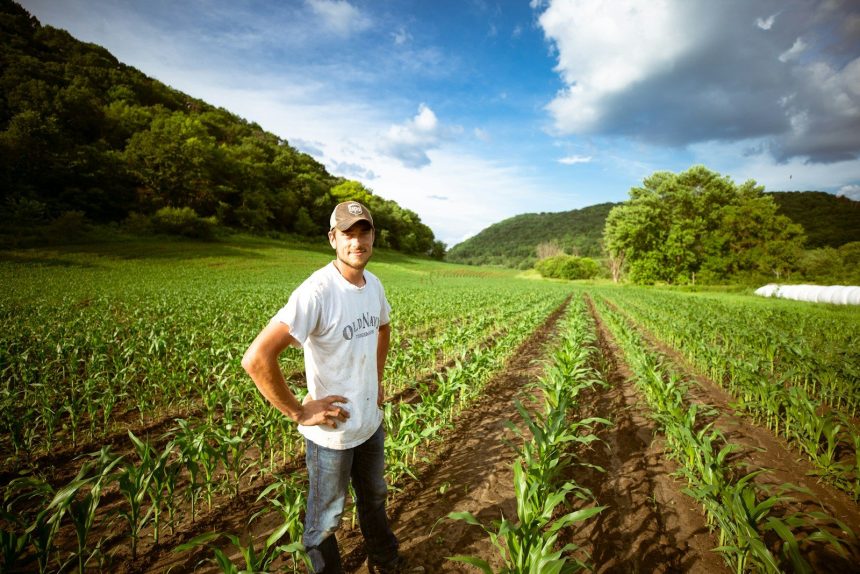 Most US farmers cant afford the fertilizer they need, survey finds
