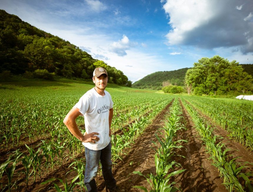 Most US farmers cant afford the fertilizer they need, survey finds Most US farmers cant afford the fertilizer they need, survey finds