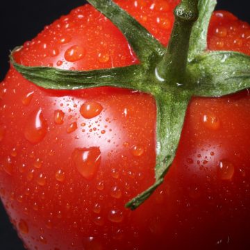 Tomato Prices Surge as Iran Conflict and Mexico Tariffs Drive Grocery Costs Higher
