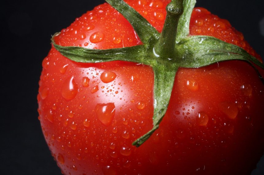 Tomato Prices Surge as Iran Conflict and Mexico Tariffs Drive Grocery Costs Higher Tomato Prices Surge as Iran Conflict and Mexico Tariffs Drive Grocery Costs Higher