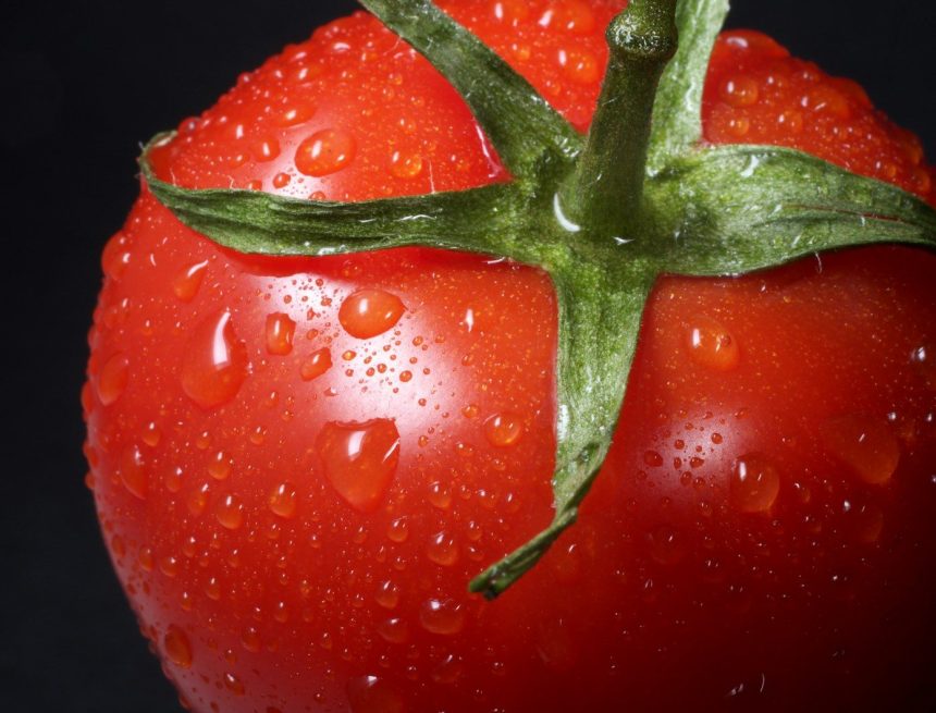Tomato Prices Surge as Iran Conflict and Mexico Tariffs Drive Grocery Costs Higher