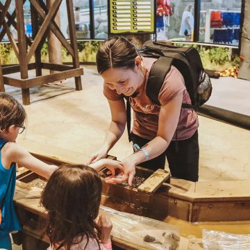 A Family Day in St. Petersburg: Easy, Fun, and Local