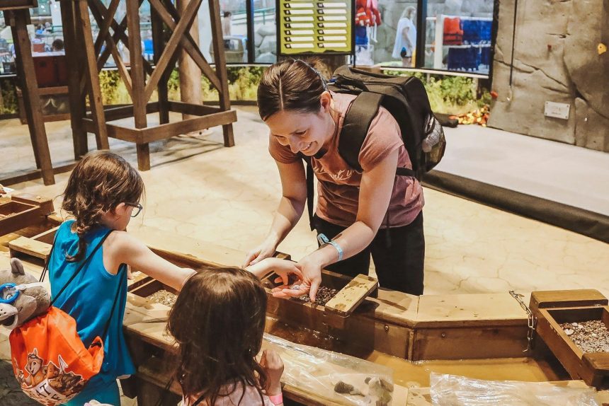 A Family Day in St. Petersburg: Easy, Fun, and Local