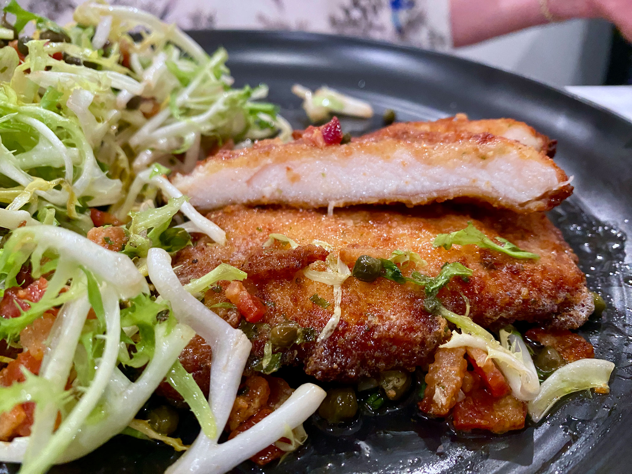 Rooster Paillard Closer gaze